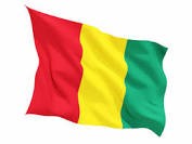 Collection image for: Guinee products